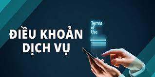 Giới thiệu chính sách điều khoản sử dụng